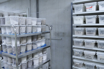 Euroquartz est spécialisée dans le traitement du quartz naturel. Ses produits à forte-valeur ajoutée s'exportent de par le monde. Euroquartz est spécialisée dans le traitement du quartz naturel. Ses produits à forte-valeur ajoutée s'exportent de par le monde.