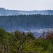 Climat : La Wallonie accélère sa préparation face aux risques climatiques et prépare la restauration des Hautes Fagnes 