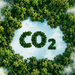 Décarbonation de l’industrie : la Wallonie avance sur le cadre de son futur réseau CO₂